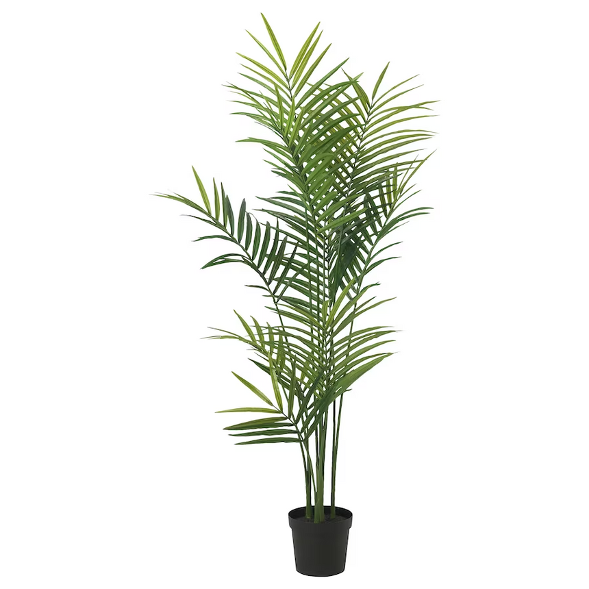 IKEA FEJKA Artificial potted plant, in/outdoor Kentia palm, 23 cm