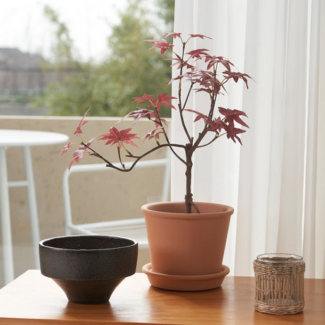 IKEA FEJKA Artificial potted plant, in/outdoor maple, 12 cm