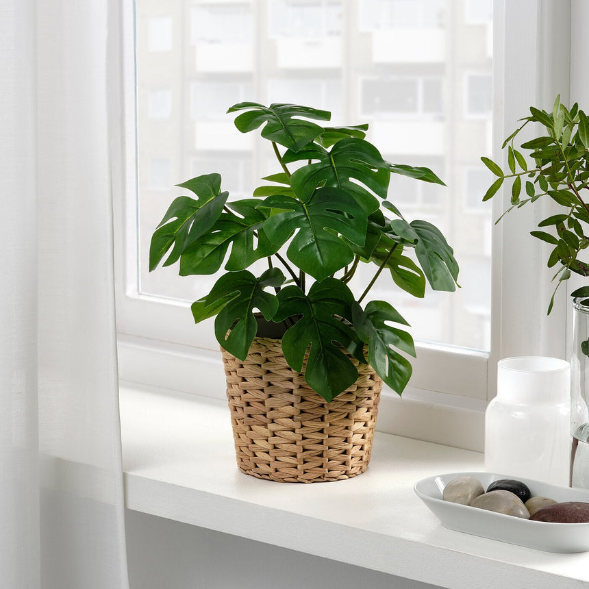 IKEA FEJKA Artificial potted plant, in/outdoor Monstera 12 cm