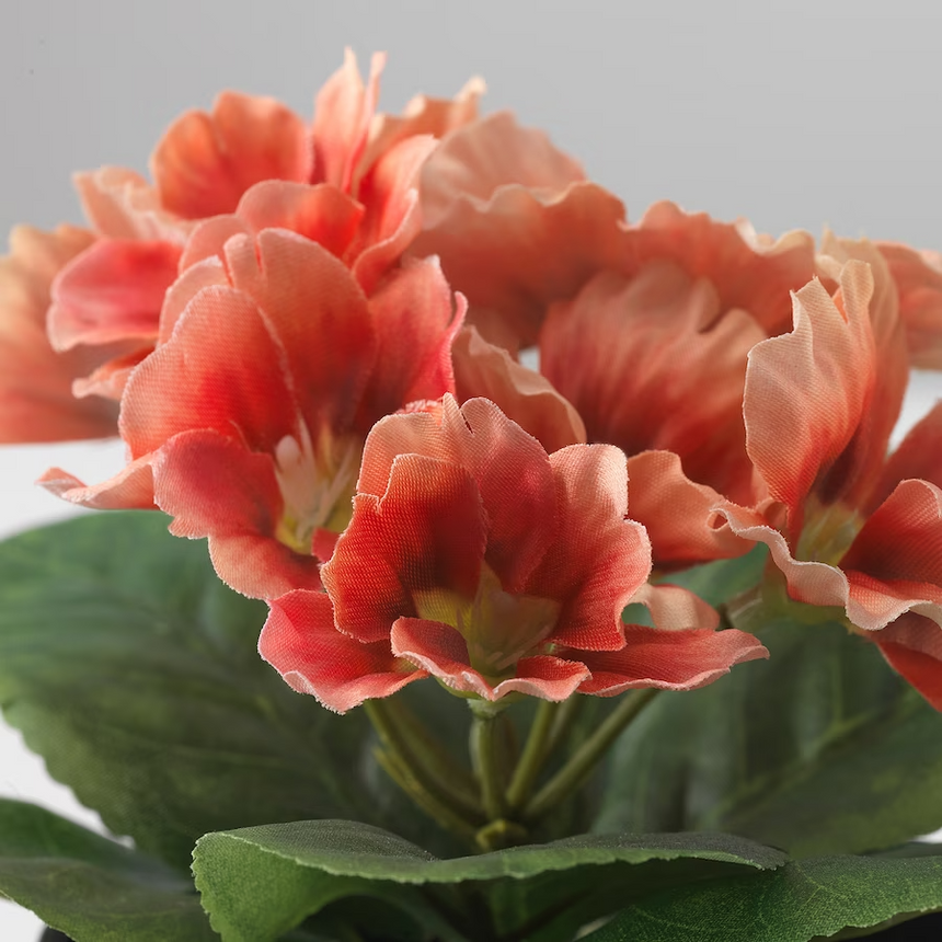 IKEA FEJKA Artificial potted plant, in/outdoor/primula orange, 9 cm