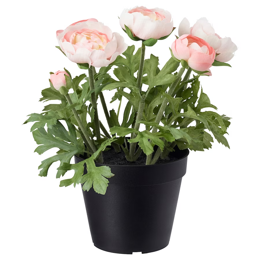 IKEA FEJKA Artificial potted plant, in/outdoor/Ranunculus pink, 12 cm