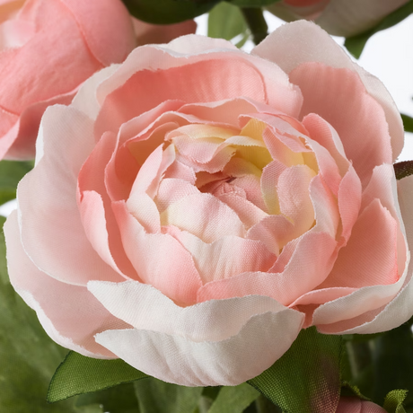 IKEA FEJKA Artificial potted plant, in/outdoor/Ranunculus pink, 12 cm