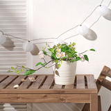 IKEA FEJKA Artificial potted plant, in/outdoor/Rose light pink, 12 cm