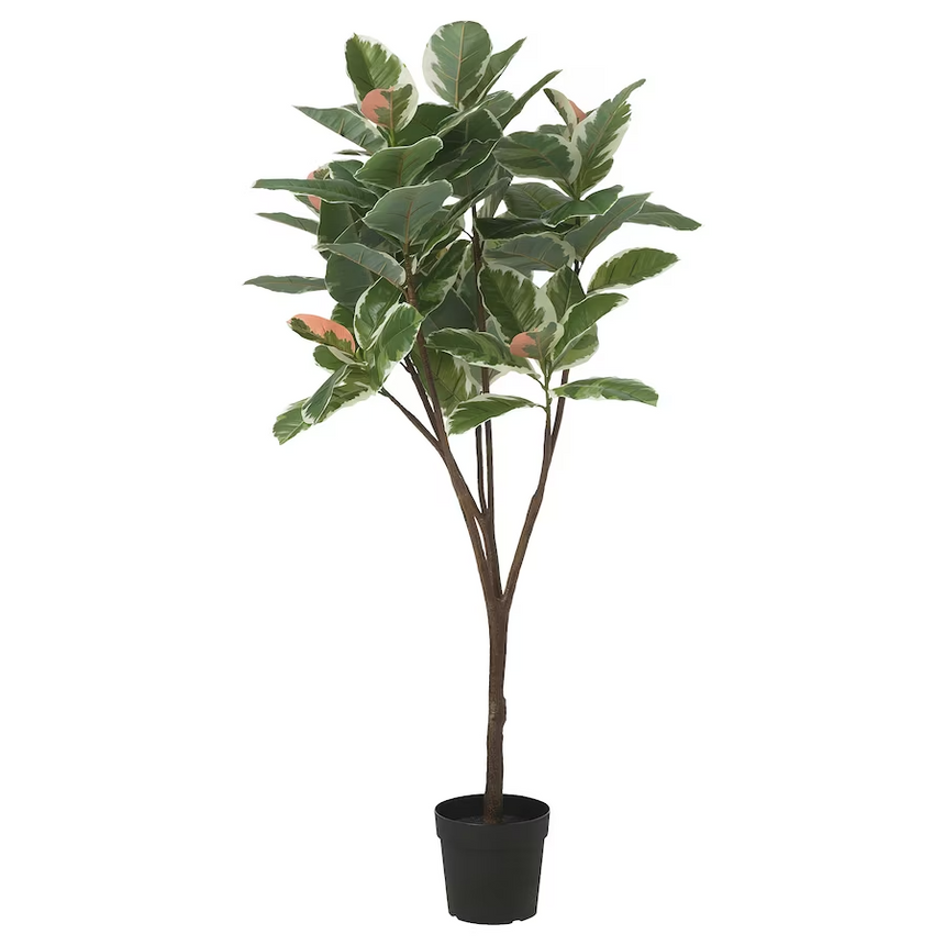 IKEA FEJKA Artificial potted plant, in/outdoor Rubber plant, 23 cm