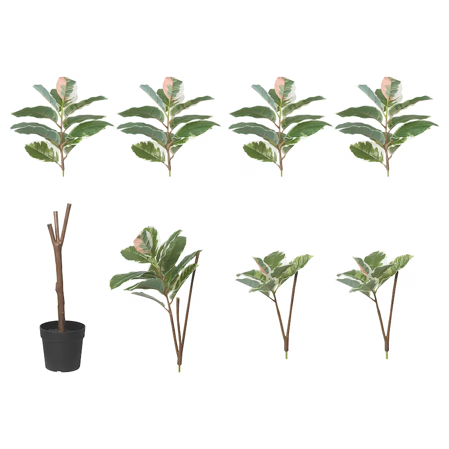 IKEA FEJKA Artificial potted plant, in/outdoor Rubber plant, 23 cm