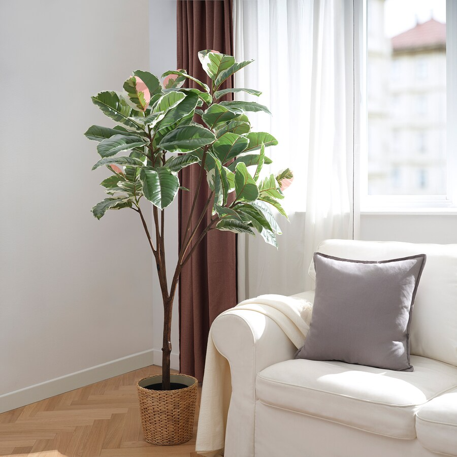 IKEA FEJKA Artificial potted plant, in/outdoor Rubber plant, 23 cm