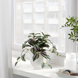 IKEA FEJKA Artificial potted plant, in/outdoor Spiderwort, 9 cm