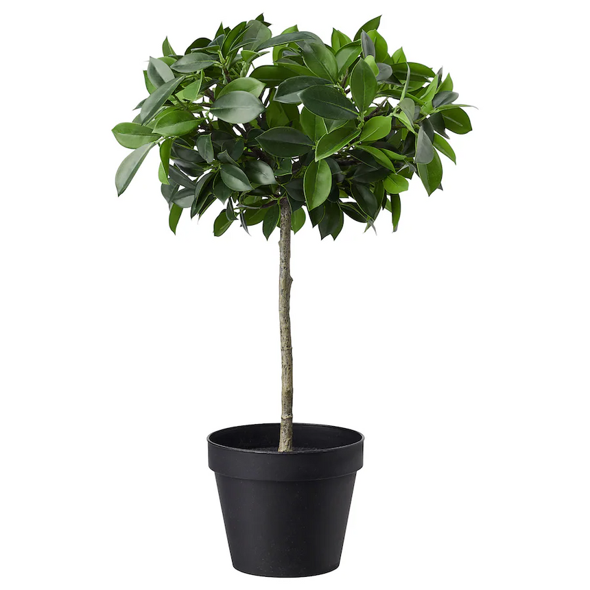 IKEA FEJKA Artificial potted plant, in/outdoor/Weeping fig stem, 12 cm