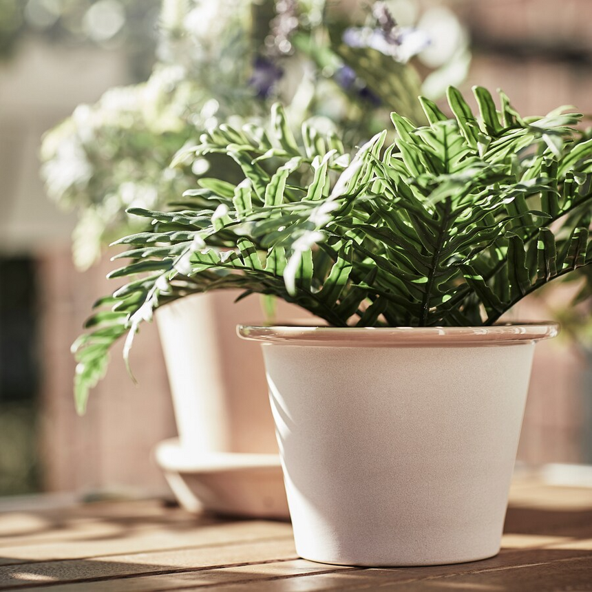 IKEA FEJKA Artificial potted plant, in/outdoor Whitley Giant, 9 cm