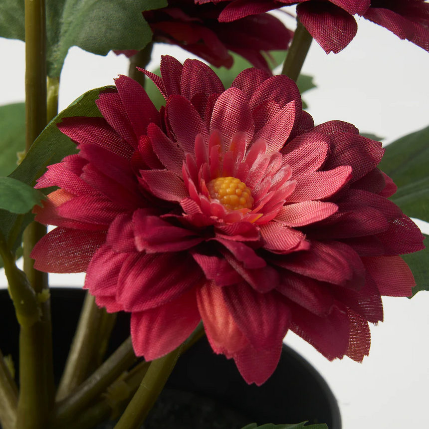 IKEA FEJKA Artificial potted plant, indoor/outdoor Chrysanthemums, 12 cm