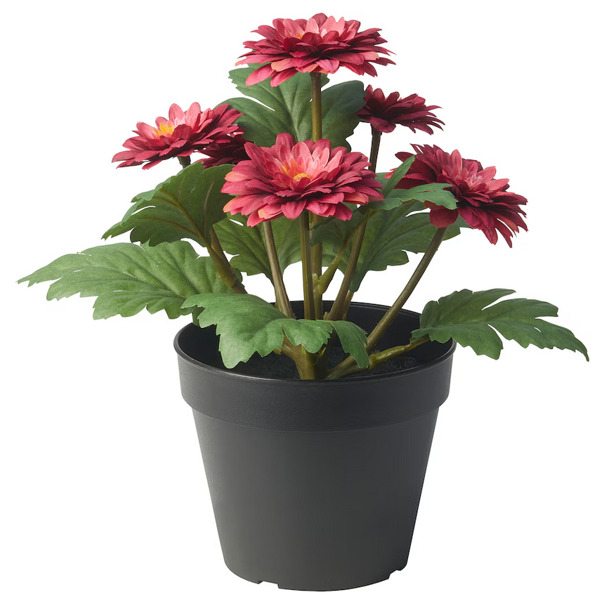 IKEA FEJKA Artificial potted plant, indoor/outdoor Chrysanthemums, 12 cm