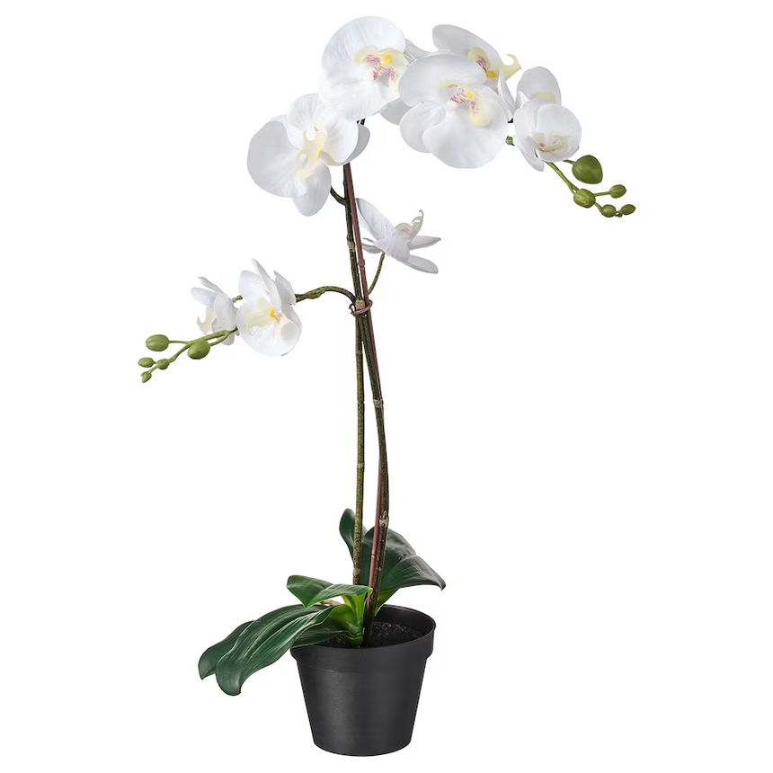 IKEA FEJKA Artificial potted plant, Orchid white, 12 cm