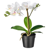 IKEA FEJKA Artificial potted plant, Orchid white, 9 cm