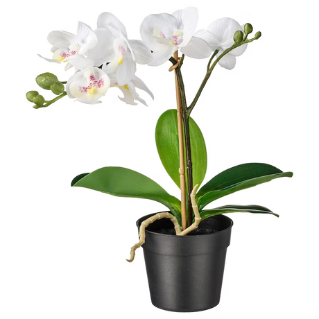 IKEA FEJKA Artificial potted plant, Orchid white, 9 cm