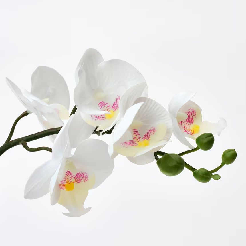 IKEA FEJKA Artificial potted plant, Orchid white, 9 cm