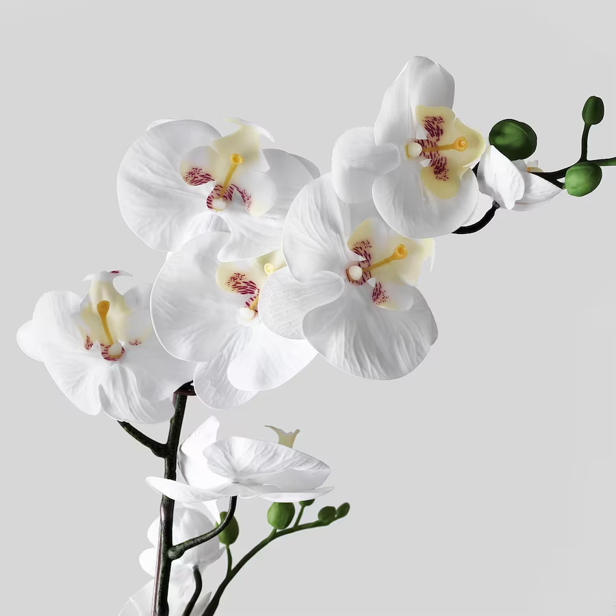 IKEA FEJKA Artificial potted plant, Orchid white, 12 cm
