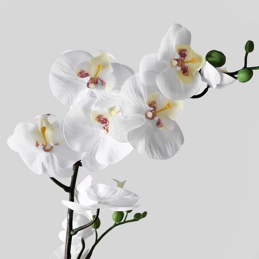 IKEA FEJKA Artificial potted plant, Orchid white, 12 cm