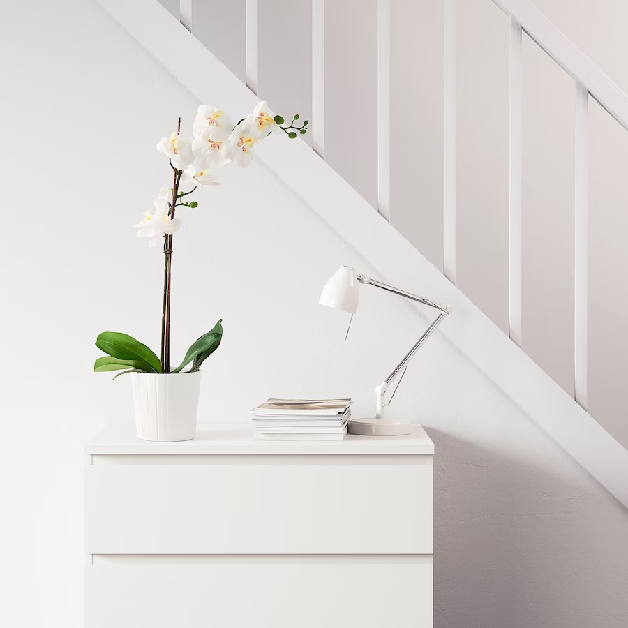 IKEA FEJKA Artificial potted plant, Orchid white, 12 cm