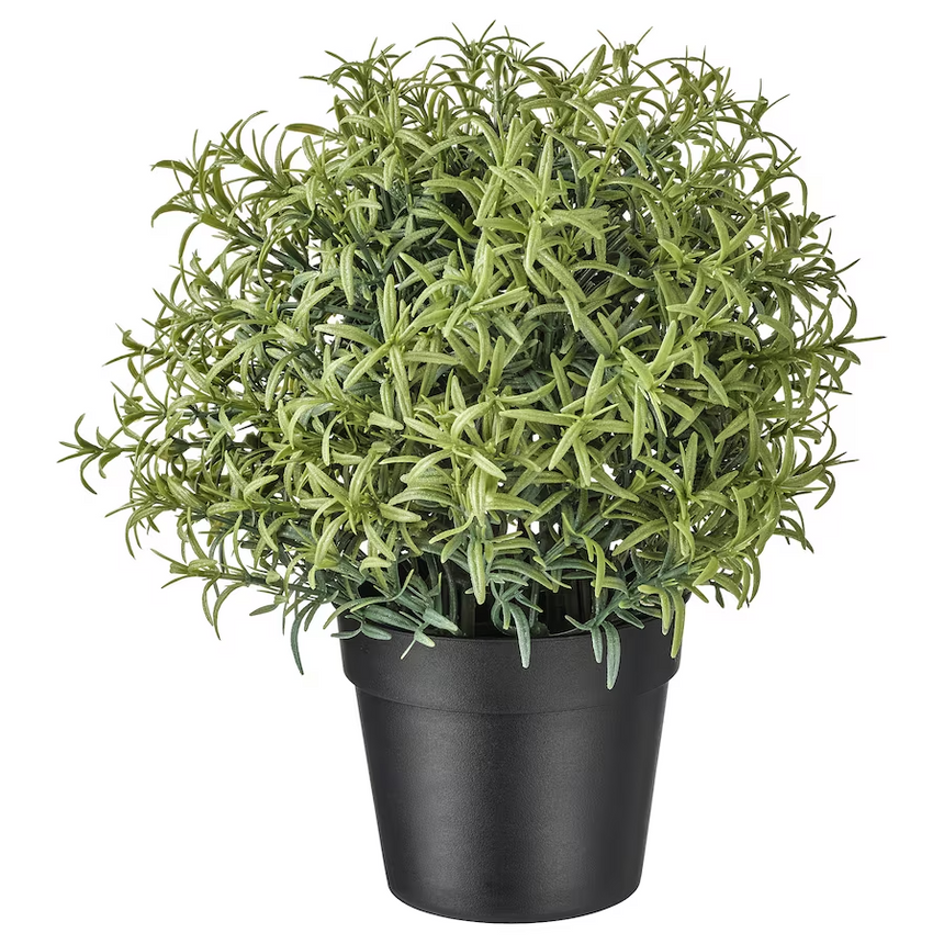 IKEA FEJKA Artificial potted plant, Rosemary, 9 cm