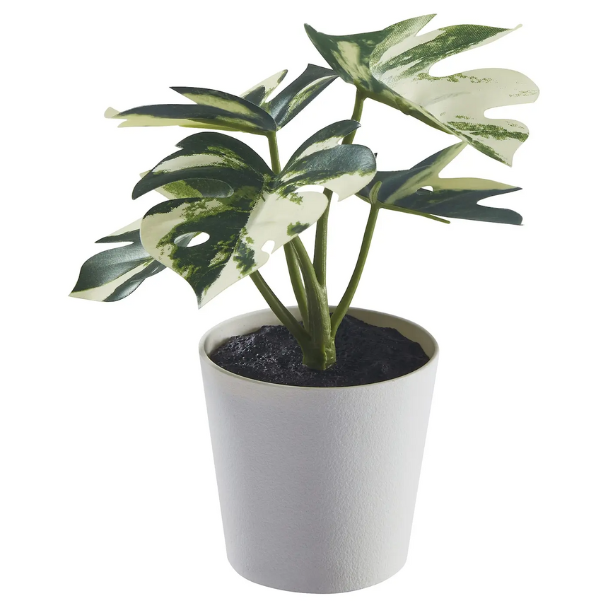 FEJKA artificial potted plant with pot, in/outdoor Monstera, 6 cm