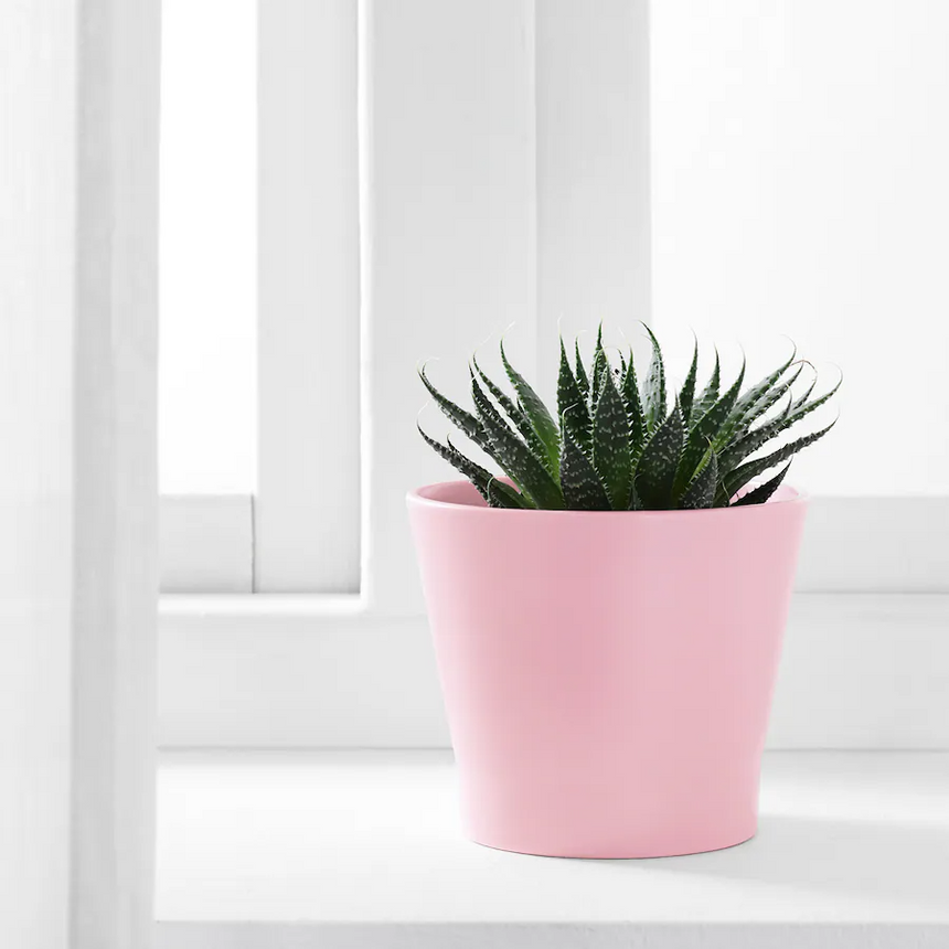 IKEA, PAPAJA Plant pot light pink 9 cm