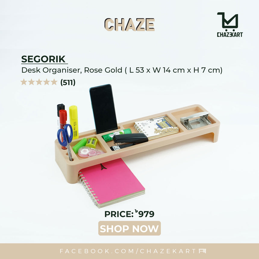 CHAZE SEGORIK Desk Organizer Rose Gold