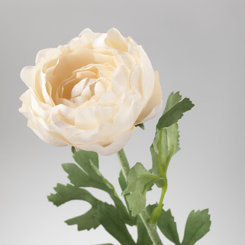 SMYCKA Artificial flower, Ranunculus/white, 52 cm