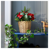 VINTERFINT Artificial Potted Plant/in/outdoor/arrangement, 12 cm