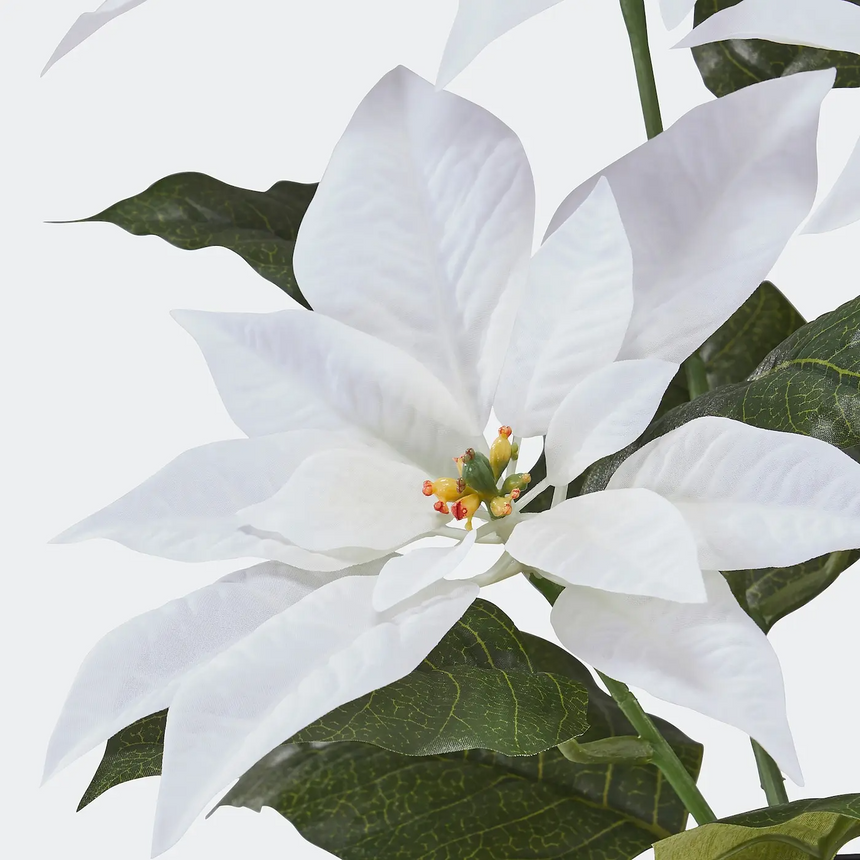 VINTERFINT artificial potted plant, in/outdoor Poinsettia/white, 12 cm