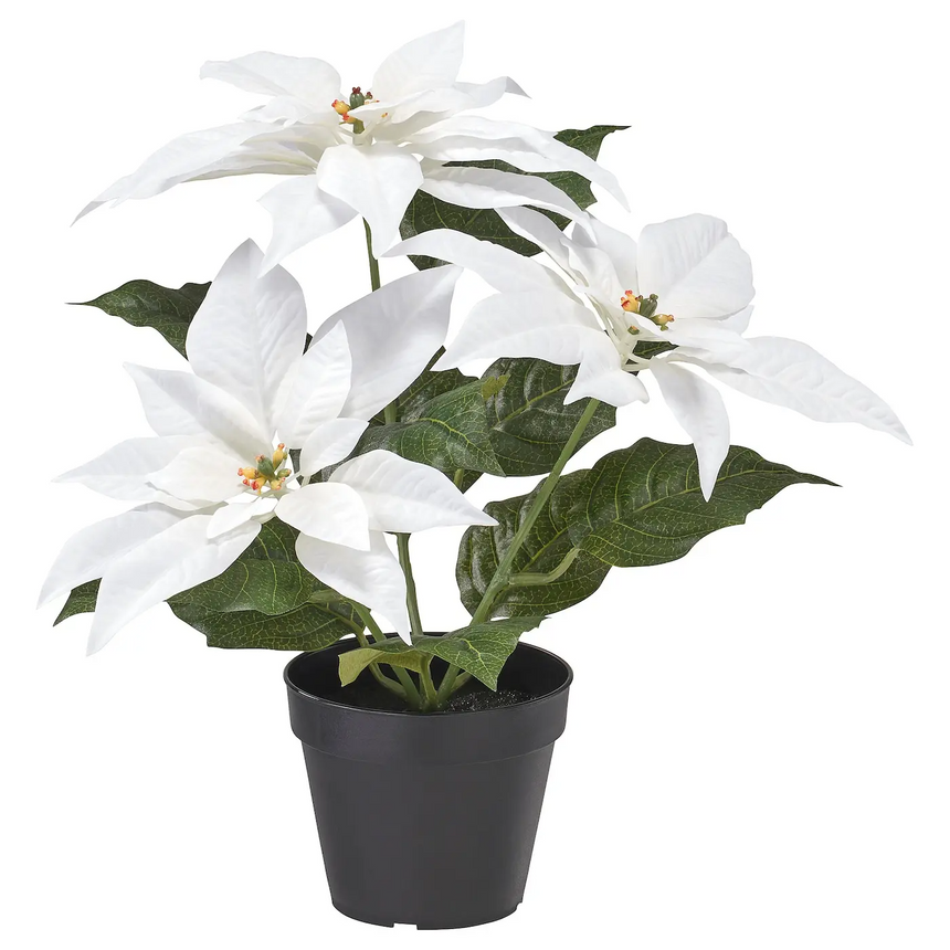 VINTERFINT artificial potted plant, in/outdoor Poinsettia/white, 12 cm